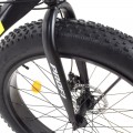 Profi POWER 1.0 26" (EB26POWER 1.0 S26.6)